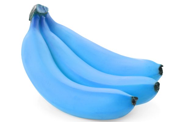 blue-bananas.jpg